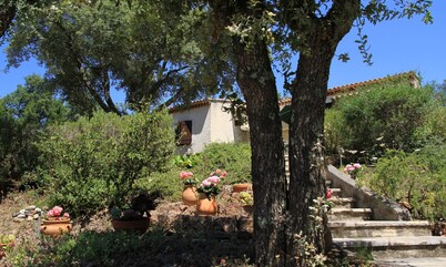 House / Villa - Bagnols en Foret