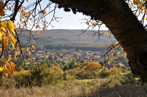 Unclassified image, 3 of 19, button