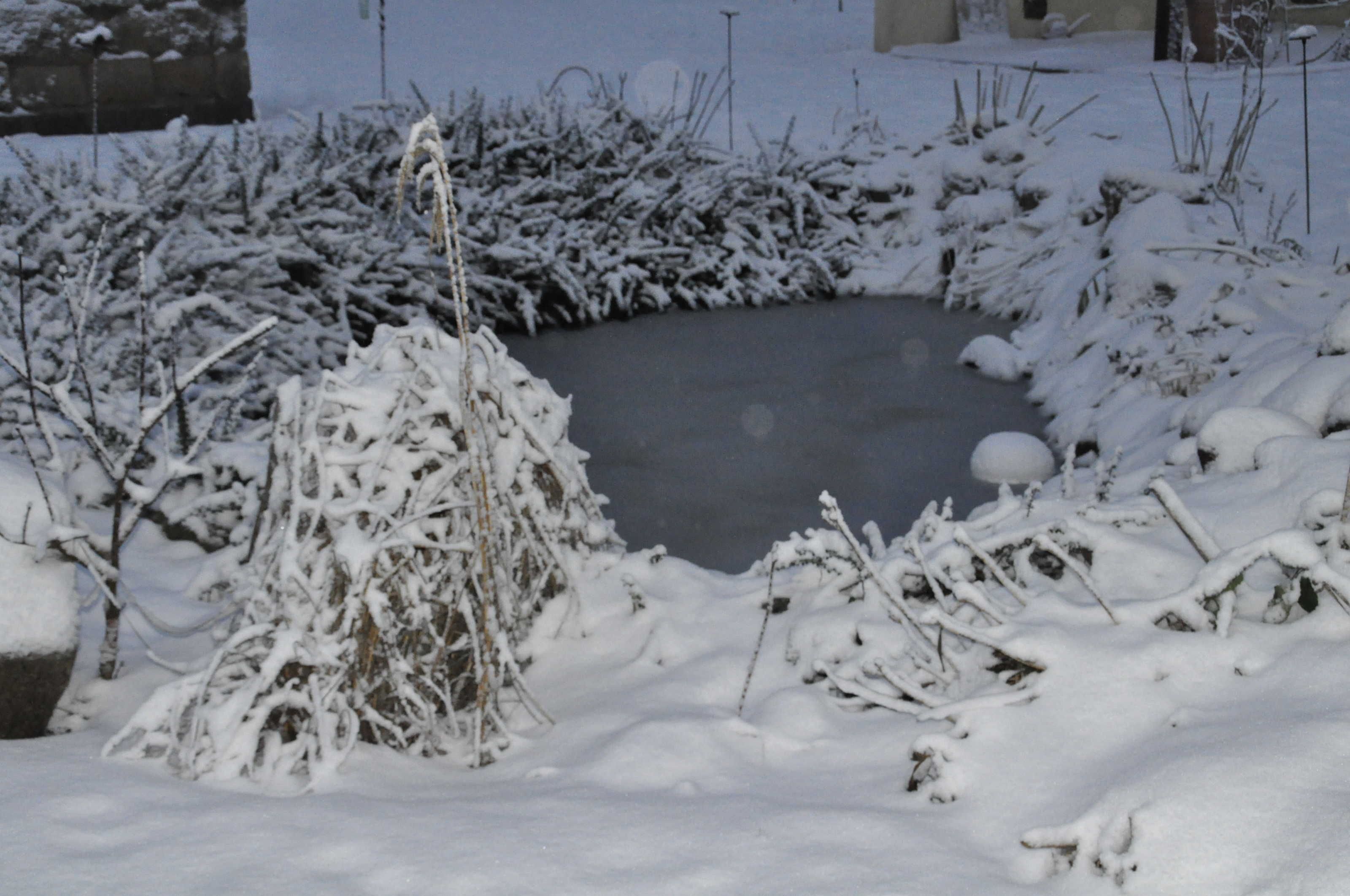 A snow-covered outdoor area with a circular water feature, surrounded by snow-laden bushes and trees.