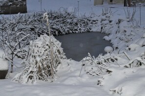 A snow-covered outdoor area with a circular water feature, surrounded by snow-laden bushes and trees. - FEWO Geisbergblick, Germany (Strullendorf)