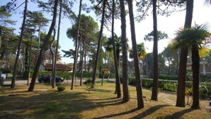 A park with tall trees, a pathway, and a building in the background.