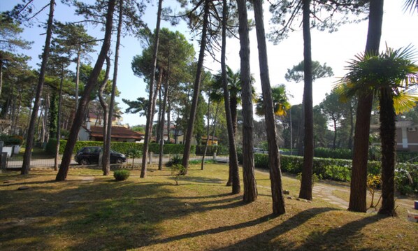 Terrain de l’hébergement 