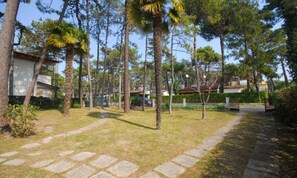 Un chemin bordé d’arbres et un bâtiment à la façade blanche.