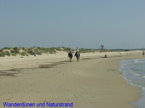 Una spiaggia nelle vicinanze
