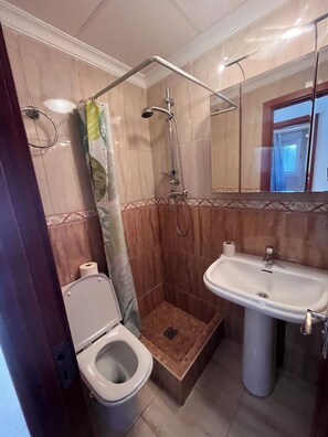 Serviettes fournies, savon, papier toilette