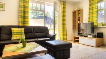 Televisión, chimenea, reproductor de DVD y libros