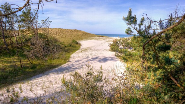 A sandy path leading to a beach with sparse vegetation and a clear sky. - ***** Luisenlund Apartment, 5 bedrooms, 3 bathrooms, made-up beds, Wi-Fi, prime location, wood-burning stove, sauna (Ostseebad Prerow)