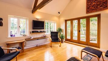 Smart TV, fireplace, DVD player, books