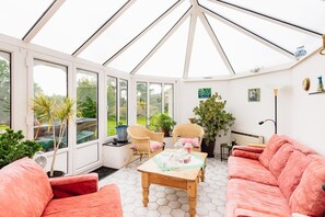 Smart TV, chimenea, reproductor de DVD y libros 