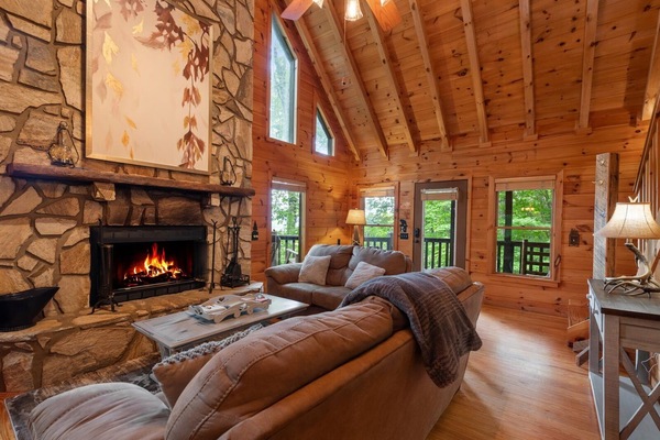 TV, fireplace, DVD player