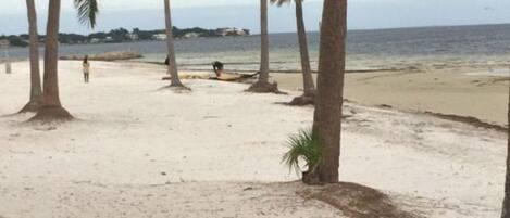 Beach nearby, sun loungers, beach towels