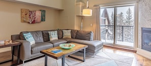 Smart TV, fireplace, video games, books