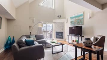 Smart TV, fireplace, video games, DVD player