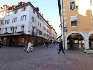 Miscellaneous - Atypical Duplex Historic Center - Pets Allowed (Annecy)