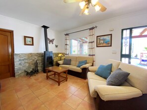 TV, fireplace, DVD player, ping pong