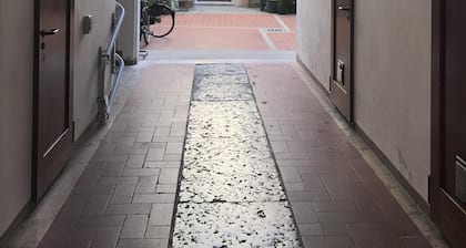 Apartment in the historic center