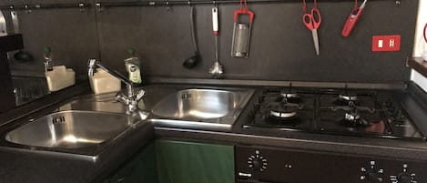 Fridge, oven, stovetop, dishwasher