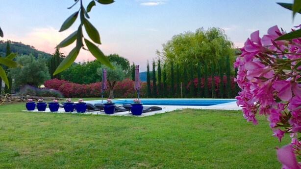 Un espace piscine agrémenté de chaises longues et de parasols, entouré d’une végétation luxuriante et de plantes en fleurs.