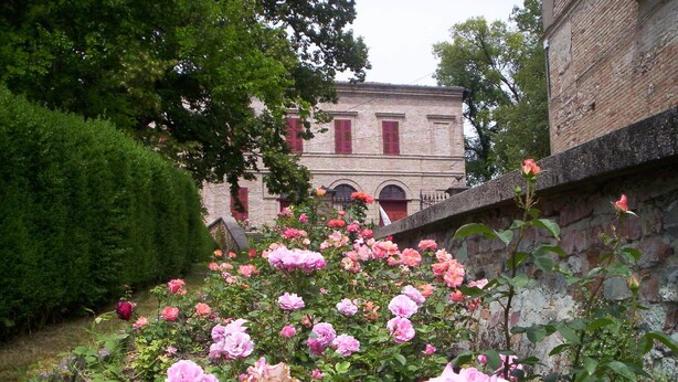 A garden with blooming roses in front of a historic building with red shutters and brick walls.