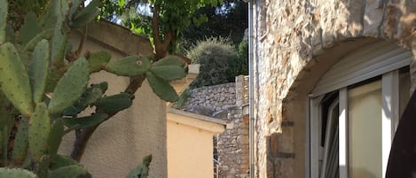 Edifici de pedra amb un cactus al primer pla, una escala de pedra i una finestra amb persianes.