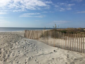 Playa en los alrededores 
