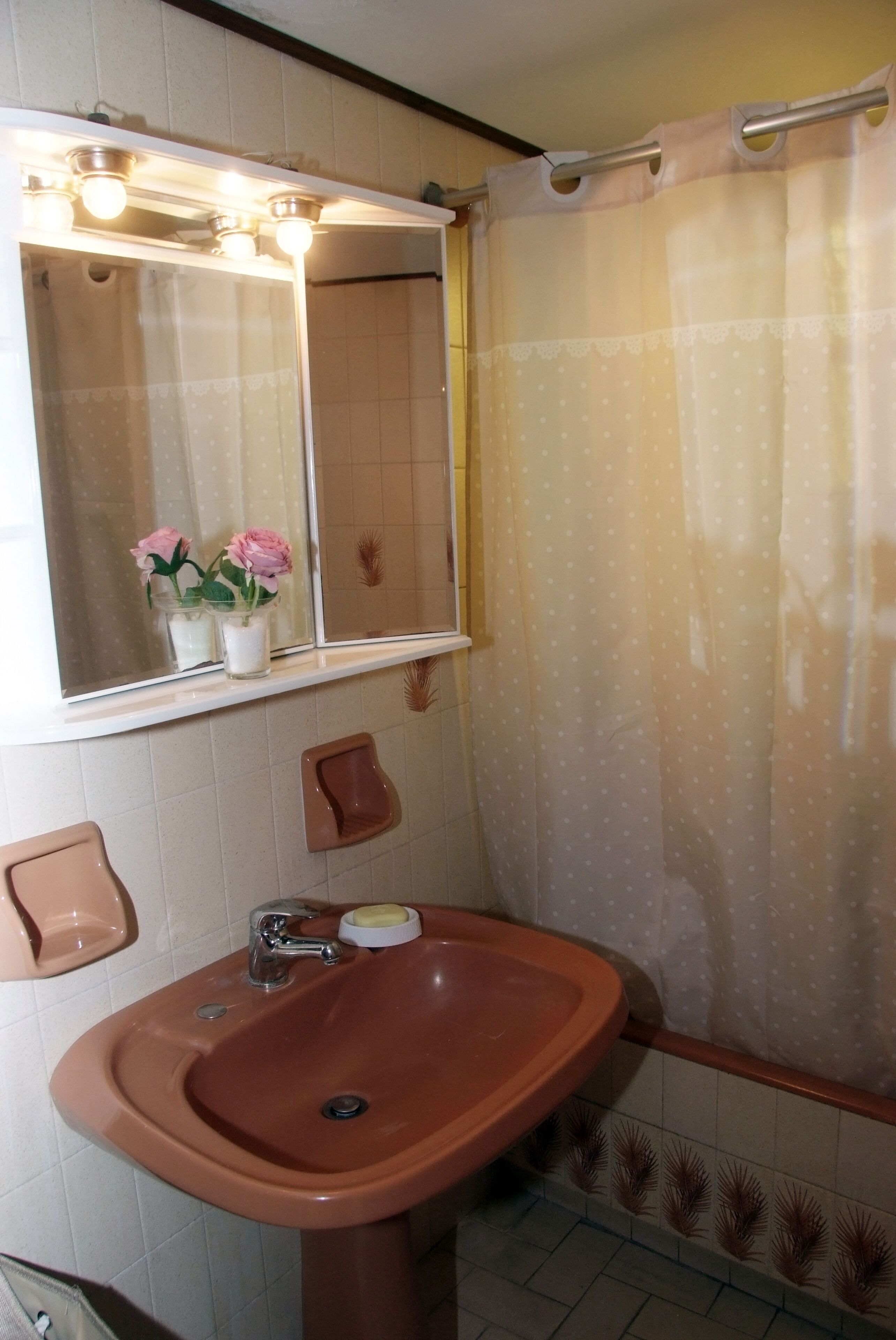 浴槽、ジェットバス、ヘアドライヤー、ビデ