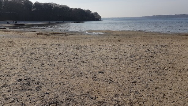 A beach with a sandy shore, a calm sea, and a forested area in the background. - Stylish apartment in a fantastic location right on Volkspark (FL)