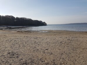 A beach with a sandy shore, a calm sea, and a forested area in the background.