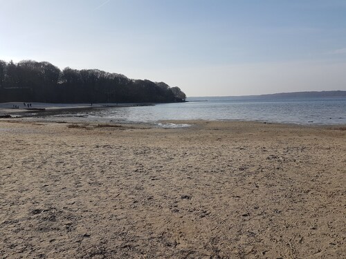 Stilvolle Ferienwohnung in traumhafter Lage direkt am Volkspark