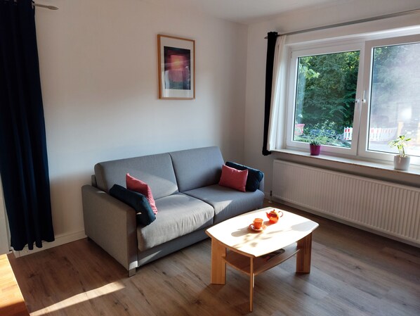 Una televisión, un reproductor de DVD, libros