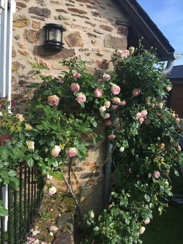 Périgord - Maison de Campagne