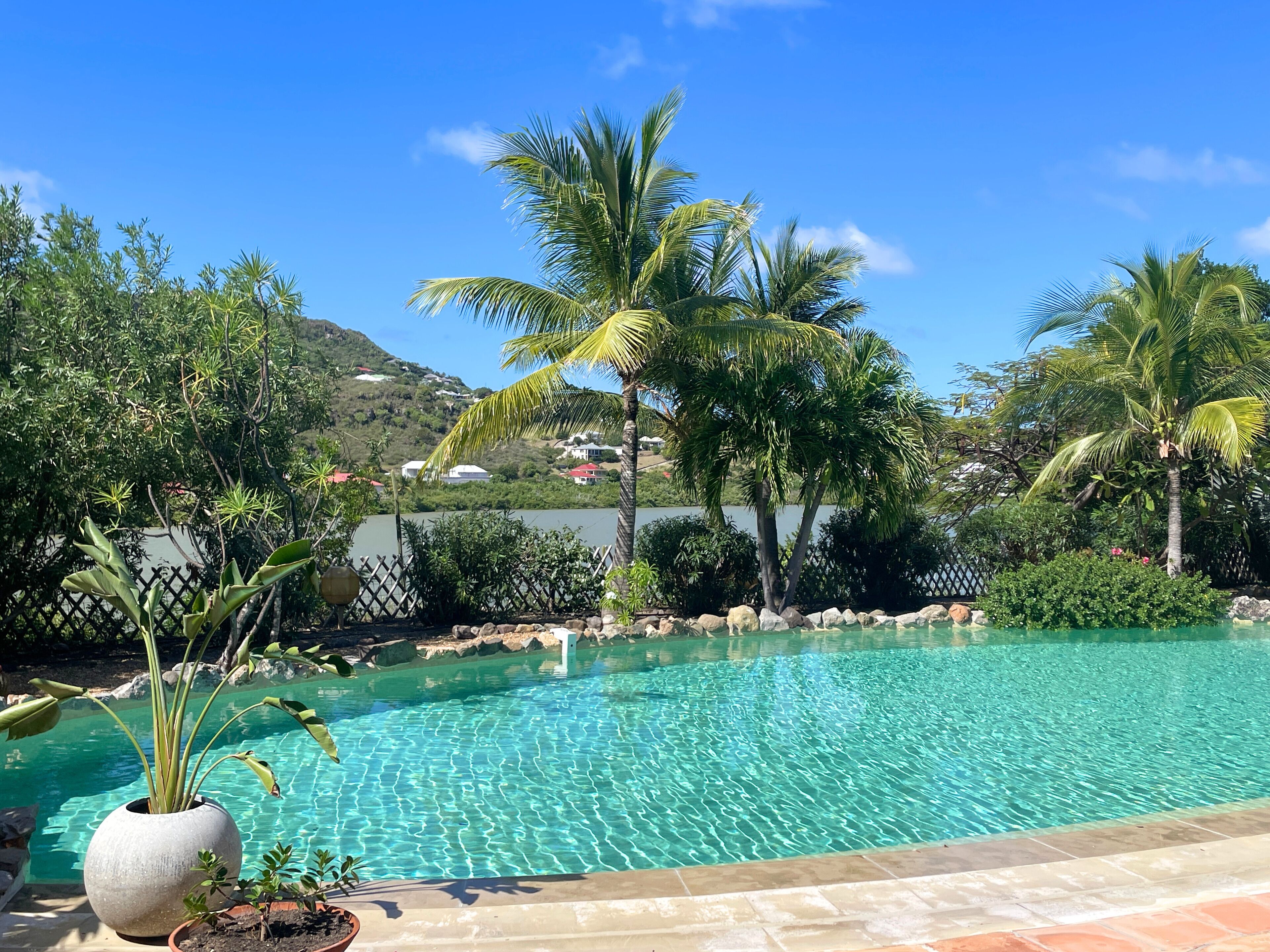 A clear swimming pool surrounded by tropical plants and a view of a hillside with houses.