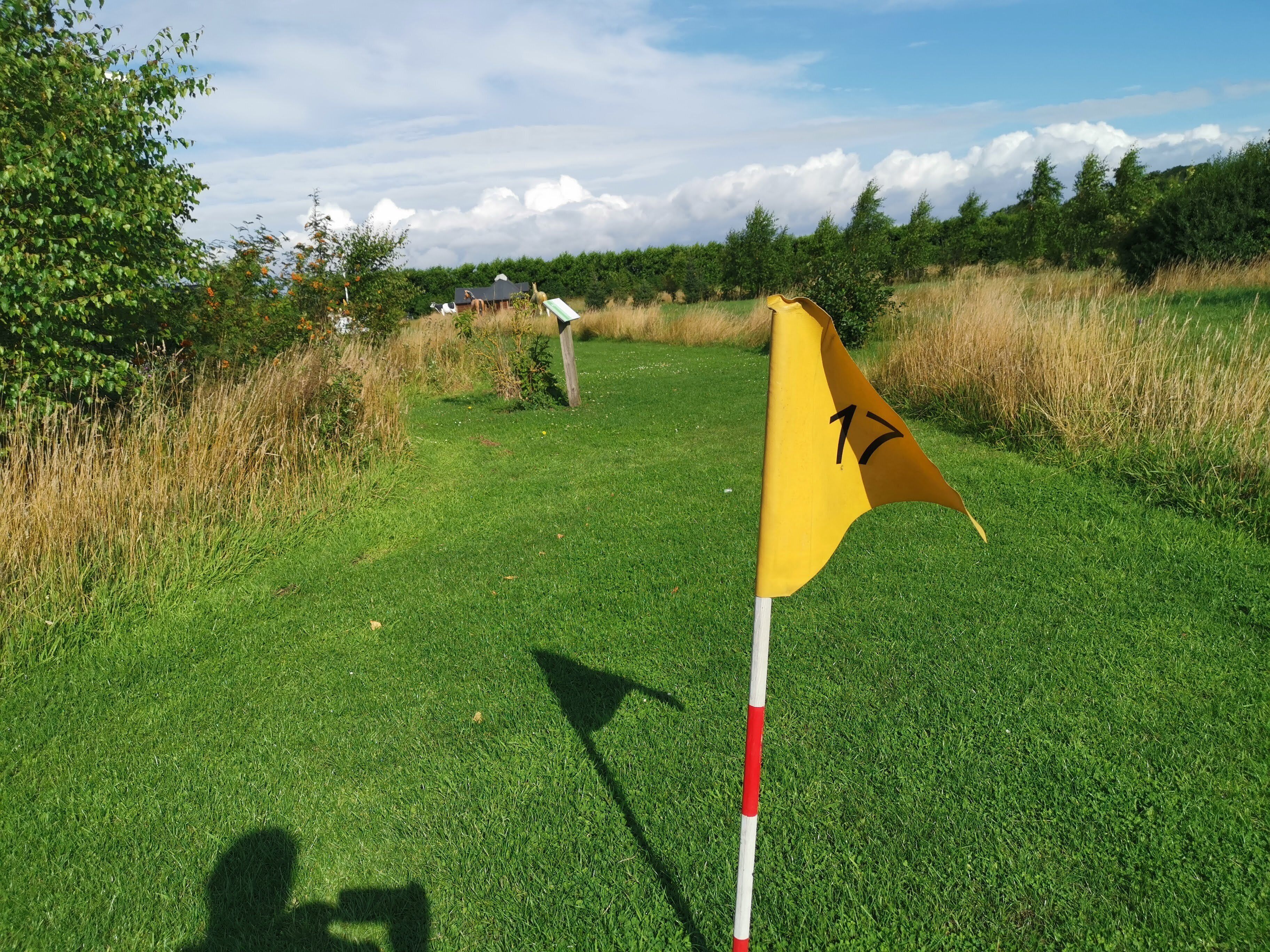 A golf course with a flagstick, grass, and a distant building.