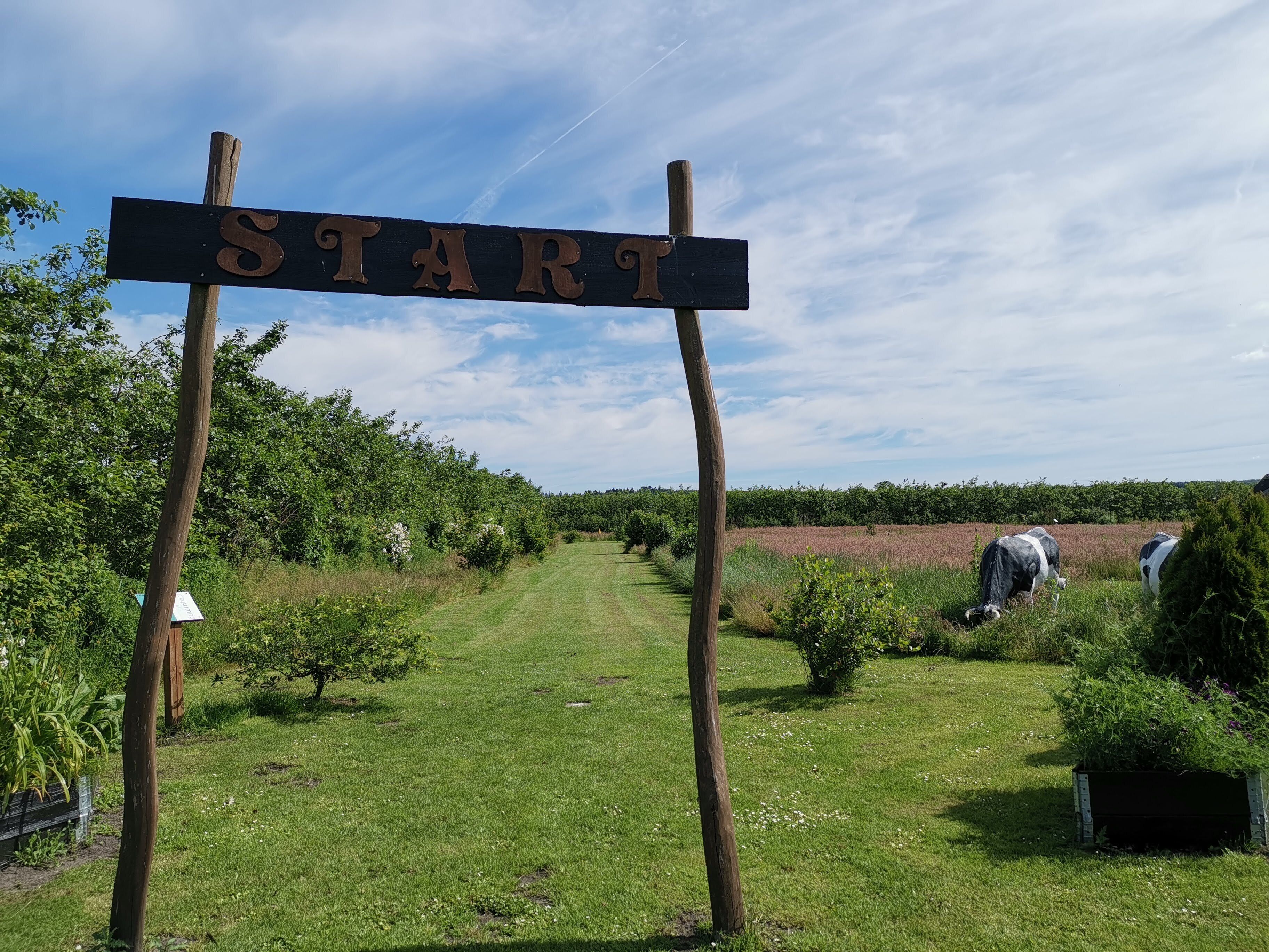 A wooden sign with the word 'START' in a field with grass and trees.