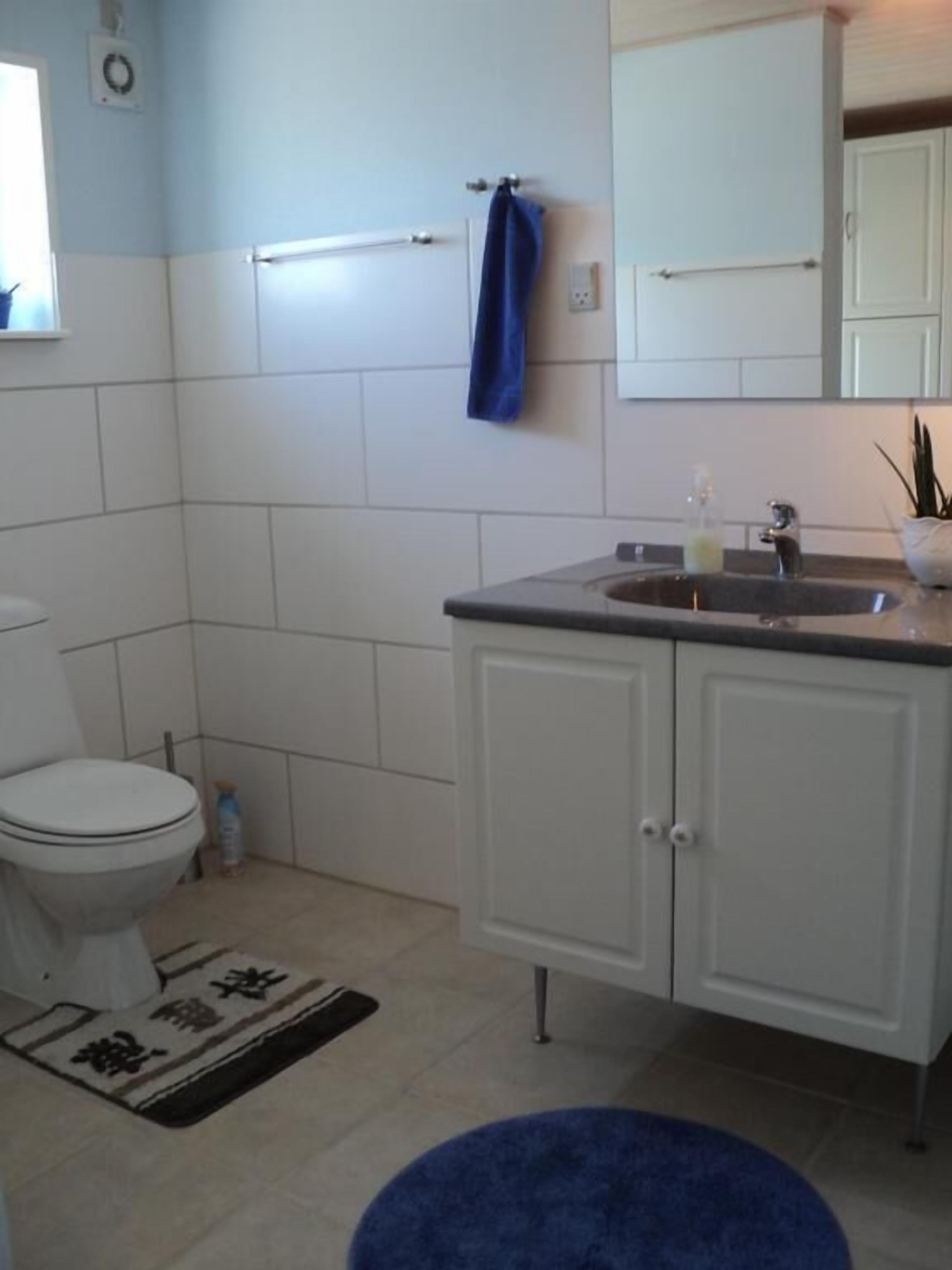 A bathroom with a toilet, sink, cabinets, and a blue rug.