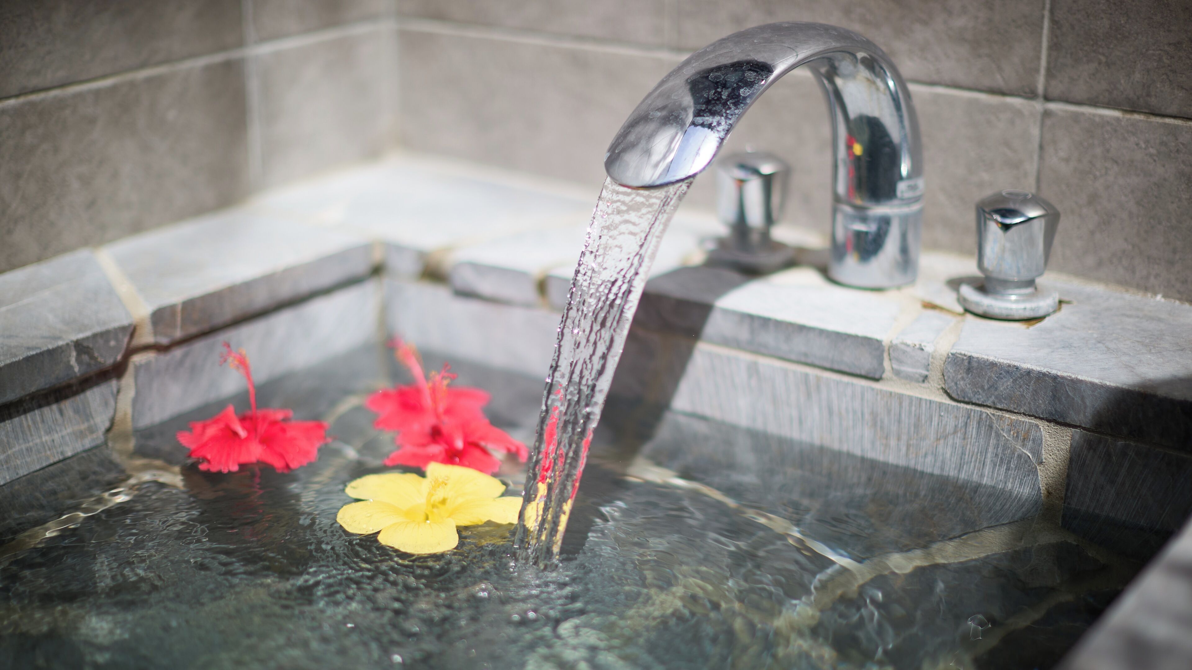 Un baño con una bañera, un grifo y dos flores en el agua.