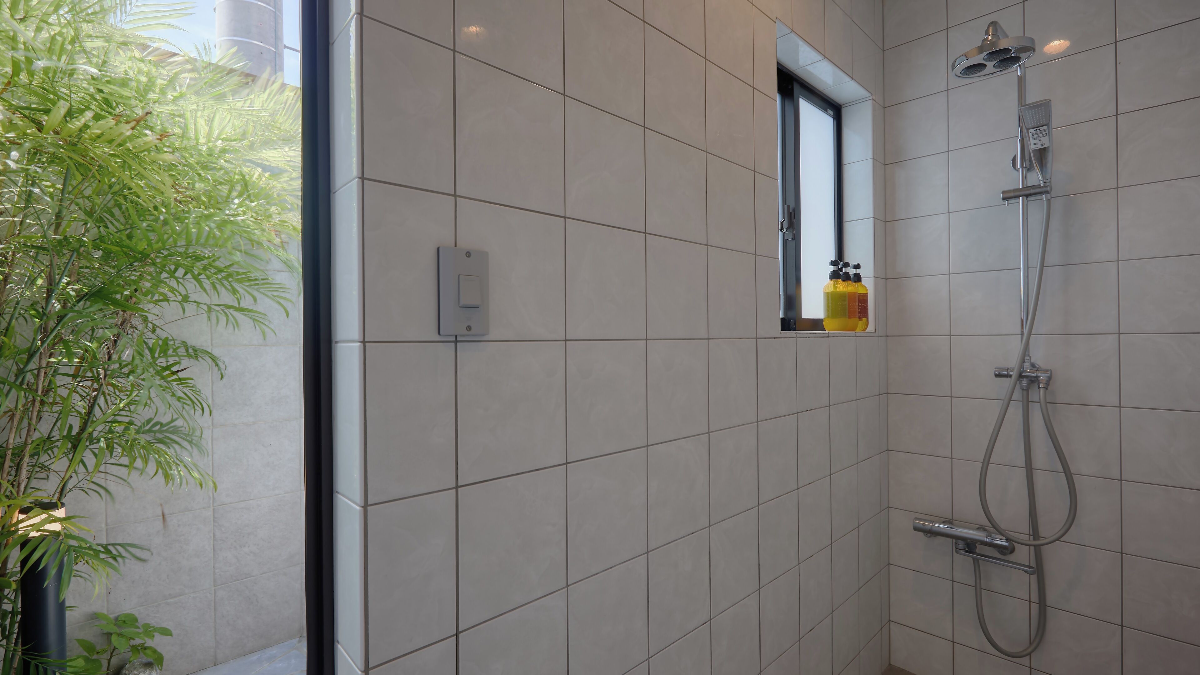 A modern bathroom with a shower, a small window, and a potted plant.