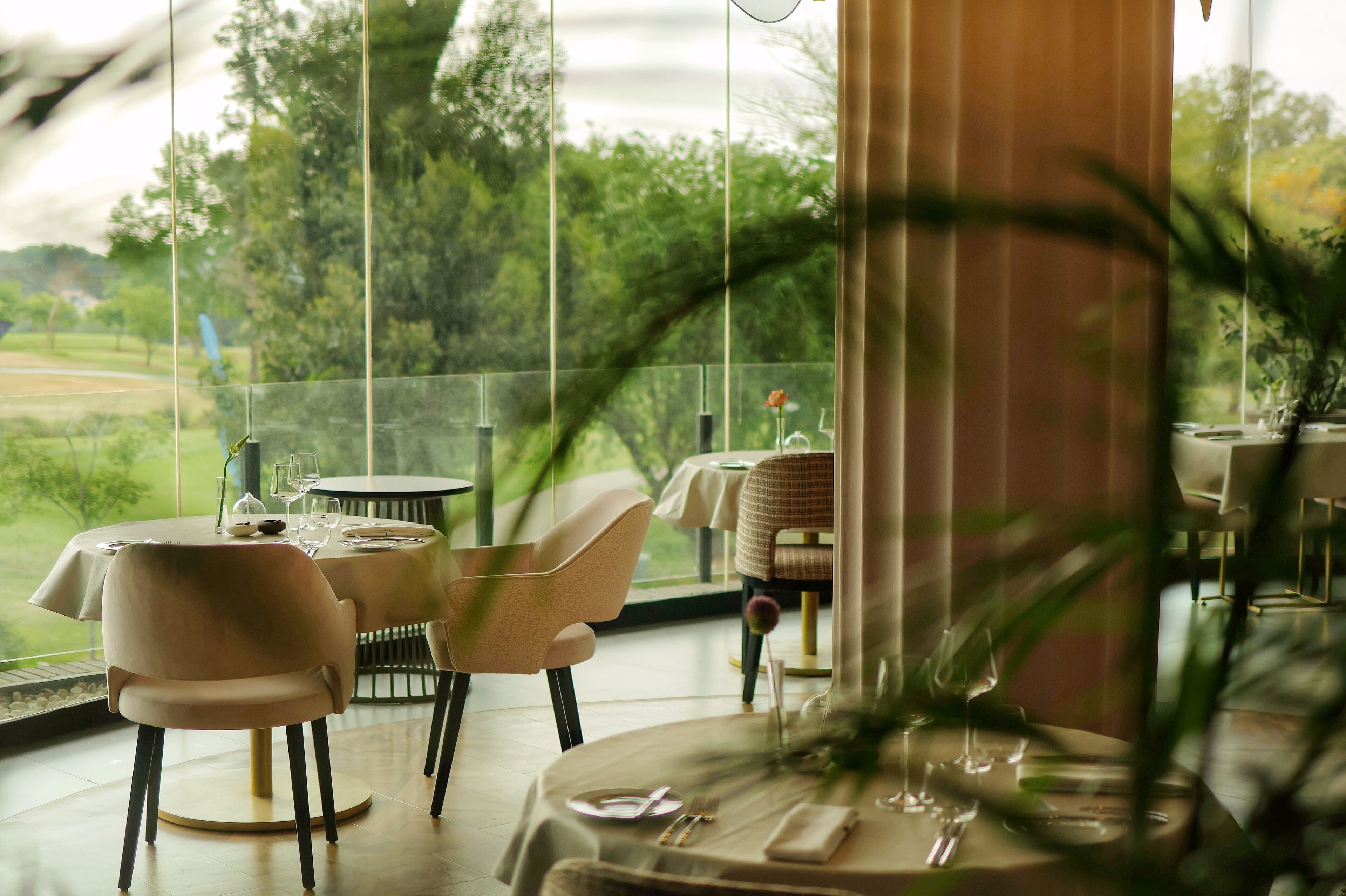 A dining area with tables set for two, large windows offering a view of the outdoors, and a plant in the foreground.