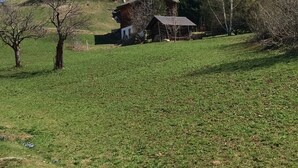 Eine ländliche Landschaft mit einem großen Haus auf einem Hügel, umgeben von Bäumen und Feldern.