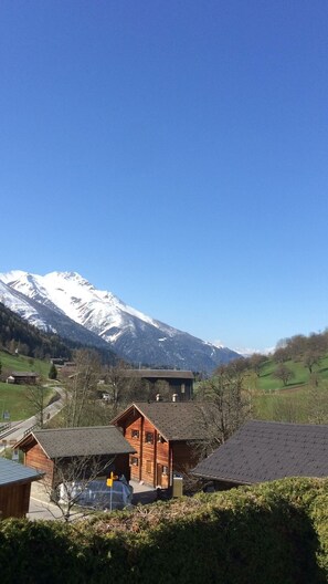 Exterior - Charming Chalet at Authentic Village with Large Sunny Terrace and Magnificent View (Mühlebach)