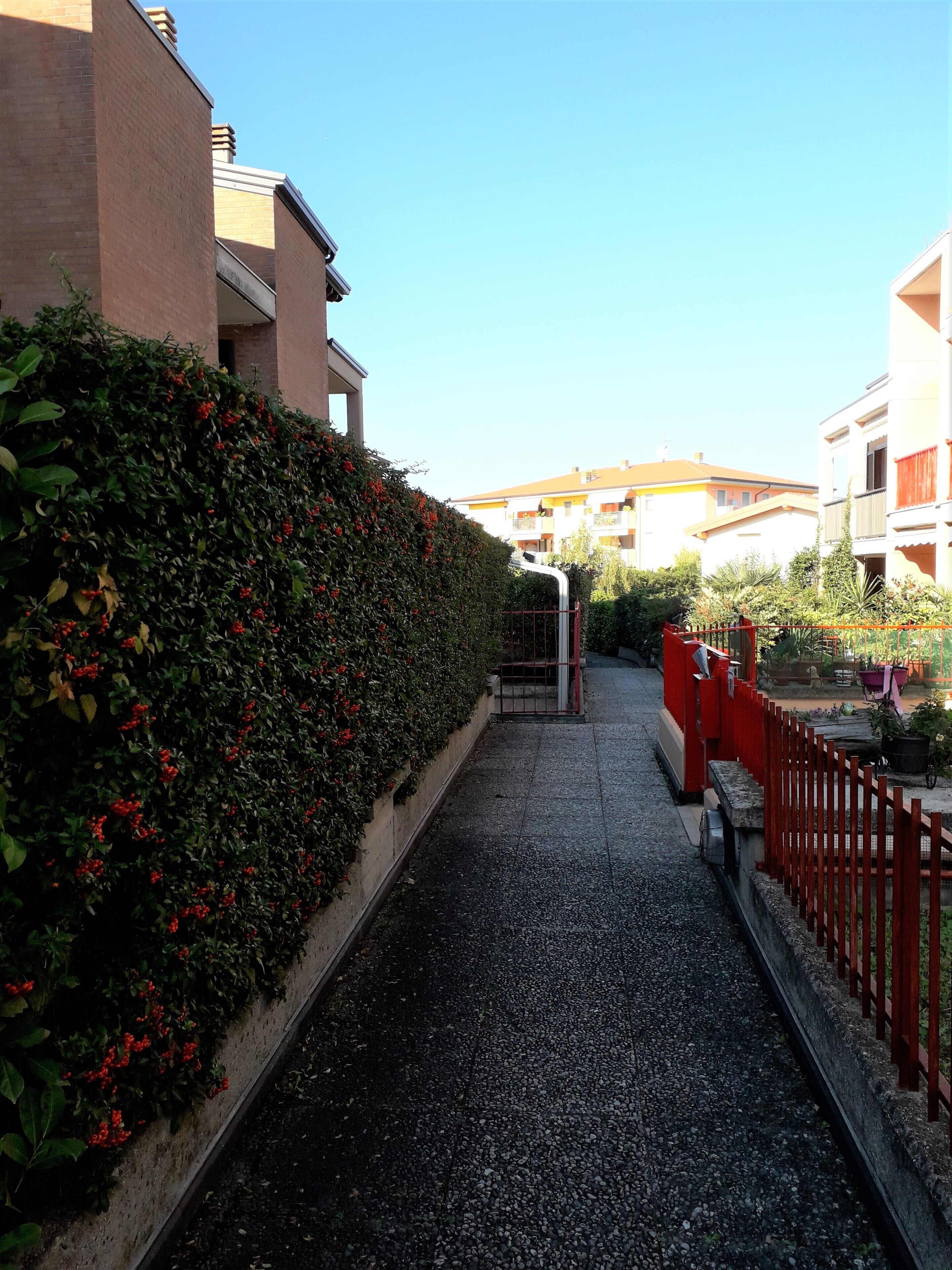 Parco della struttura