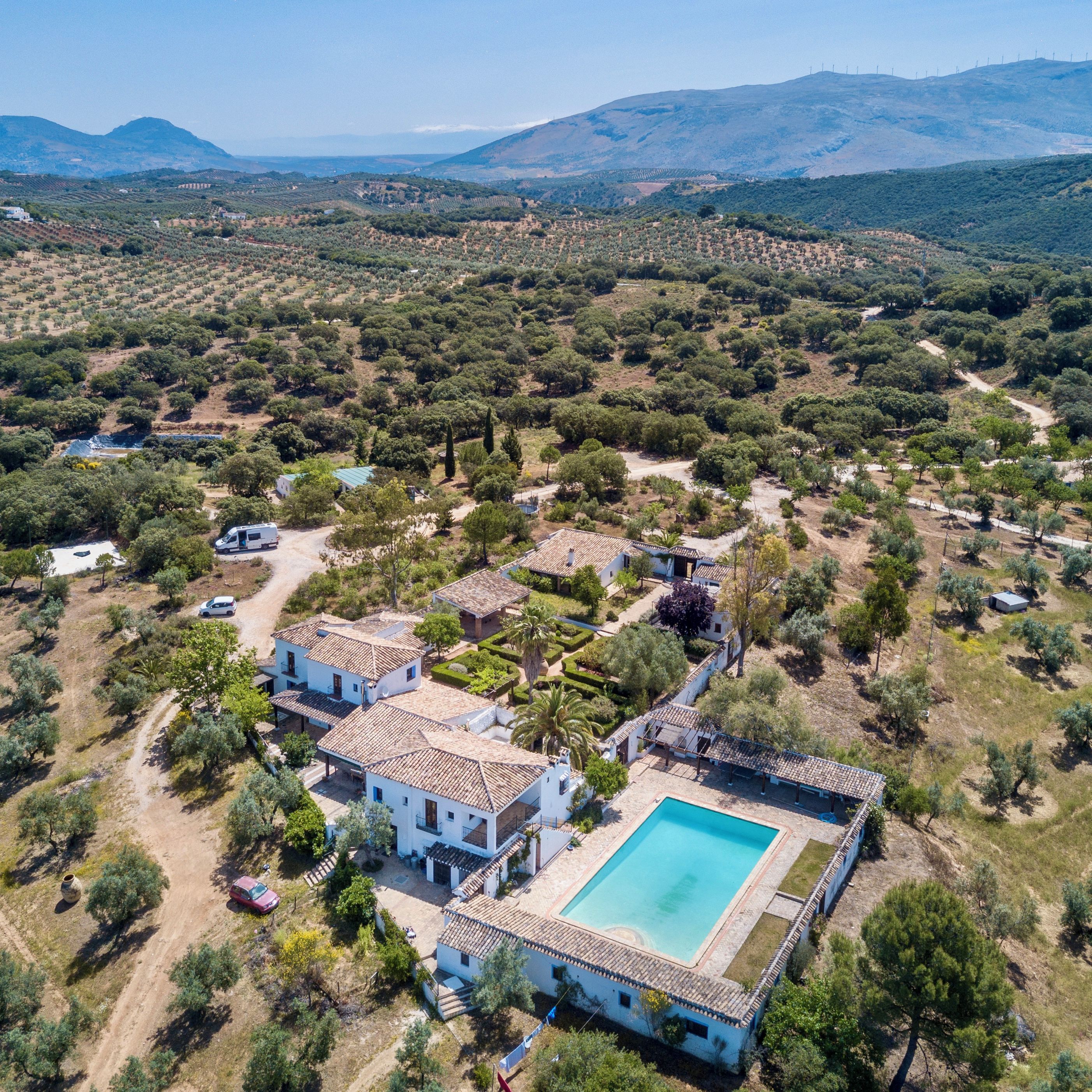 An aerial view of a residential area with a large house featuring a swimming pool, surrounded by olive groves and hilly terrain.
