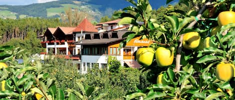 A hotel with multiple buildings, a mountain backdrop, and a fruit tree in the foreground.