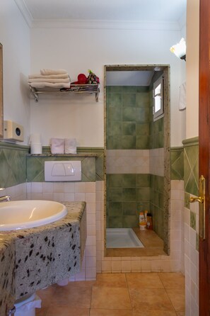 Shower, towels, toilet paper
