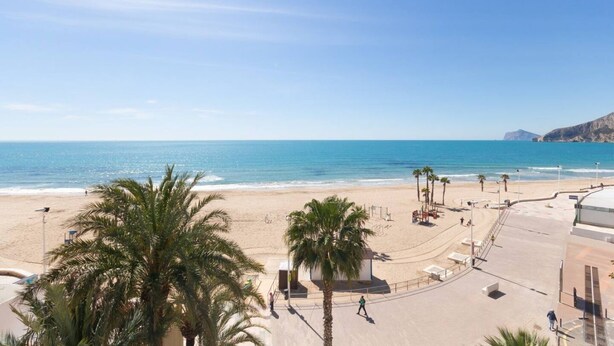 A beach with palm trees, a clear sky, and a calm sea. - Apartamaneto Joya 4 by Costa CarpeDiem (Calp)