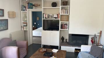 Télévision, cheminée, lecteur de DVD, livres
