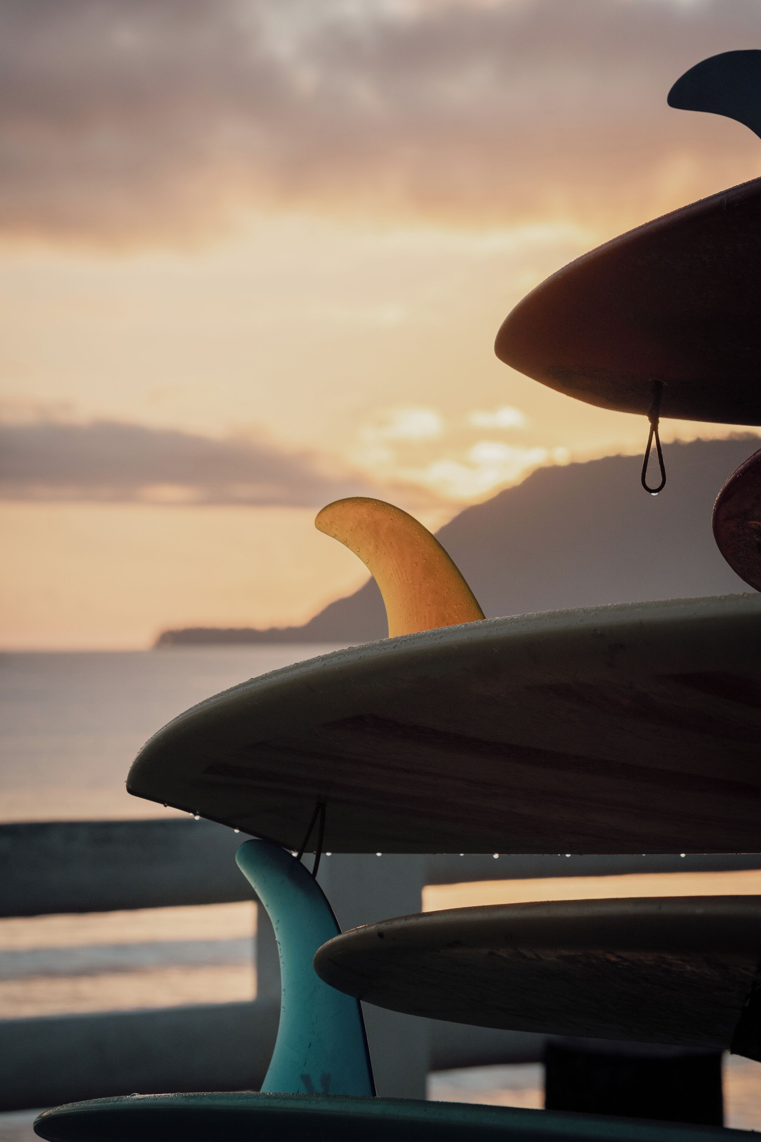 Un portaequipajes para tablas de surf con varias tablas de surf al atardecer.
