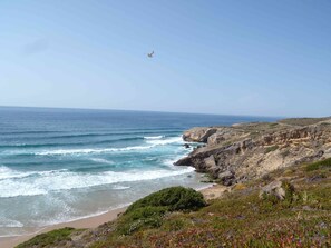 Beach - Renovated Downstairs Apartment close to the best beaches on Algarve West Coast (Aljezur)