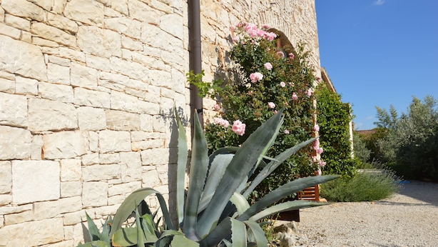 Ein Gebäude aus Stein mit Kiesweg und einer Rosenpflanze.