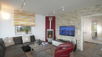 TV, fireplace, books